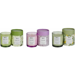 Beliani - Set di 3 candele profumate 100% cera di soia stoppino di cotone vetro fragranza floreale erbe orientali te-lavanda-gelsomino colorful barrel