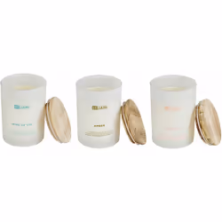 Set di 3 candele aromatiche . Rilassati nell'abbraccio della serenità della natura con questo trio di candele di cera di soia ...
