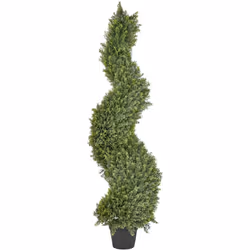 Pianta decorativa in vaso per uso interno ed esterno. Arricchisci il tuo ambiente con questo albero a spirale in cipresso sin ...