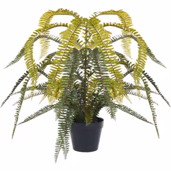 Pianta decorativa di felce finta. Porta un tocco di natura in casa con questa felce artificiale dall'aspetto realistico. Le s ...