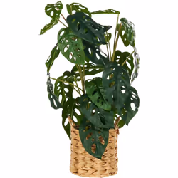 Pianta finta decorativa. Valorizza il tuo spazio con questa splendida pianta artificiale di Monstera. Le sue iconiche foglie  ...