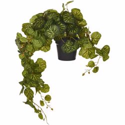 Pianta finta decorativa da appendere. Crea un'atmosfera bohemien nella tua casa con questa splendida pianta sospesa artificia ...