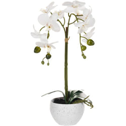 Beliani - Pianta artificiale in vaso Orchidea Pianta per uso interno Decorazione in plastica 42 cm Orchid