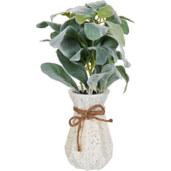 Beliani - Pianta artificiale in vaso Pianta per uso interno Decorazione in plastica 30 cm Peperomia Argyreia