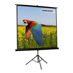Celexon 1090018 schermo per proiettore 1:1