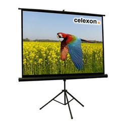 Celexon 1090021 schermo per proiettore 4:3