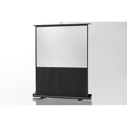 Celexon 1090363 schermo per proiettore 1:1