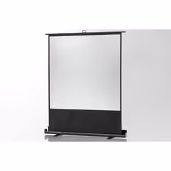 Celexon 1090363 schermo per proiettore 1:1