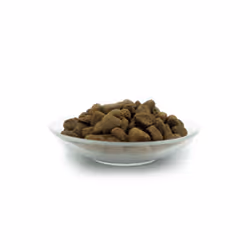 Bellfor Gutshof-Schmaus 7,5 kg Adulto Pollo, Anatra, Turchia