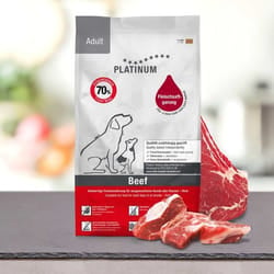 Platinum 4260208740658 cibo secco per cani 5 kg Adulto Manzo