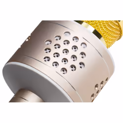 Technaxx PRO BT-X35 Oro, Argento Microfono per karaoke