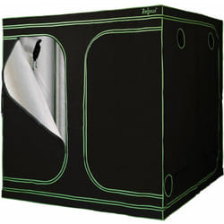 Zelsius - Tenda di coltivazione 200 x 200 x 200 cm nero/verde Coltivazione di piante da interno