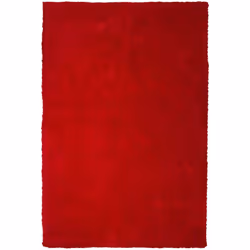 Morbido tappeto piacevole al tatto. Questo tappeto si sposa bene con qualsiasi stile d'arredo, dal moderno al contemporaneo.  ...