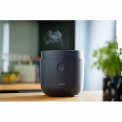 Lauben LBNRCD1500AT cuoci riso 1,5 L 500 W Nero