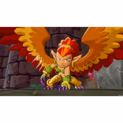 ININ Games Wonder Boy : Asha In Monster World Standard