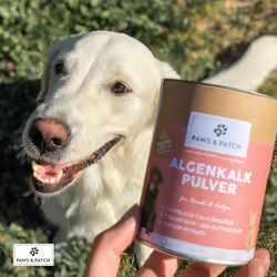 PAWS&PATCH calce per alghe 250 g Polvere