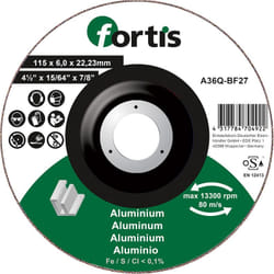 Fortis 4317784704922 accessorio per smerigliatrice