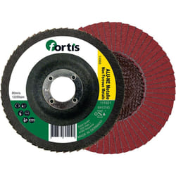 Fortis 4317784704960 accessorio per smerigliatrice