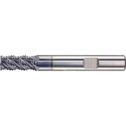 Fortis 4317784742009 fresa