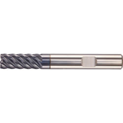 Fortis 4317784742115 fresa