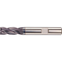 Fortis 4317784742191 fresa