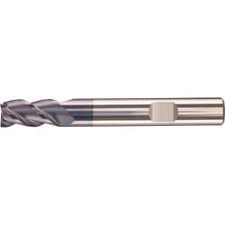 Fortis 4317784742252 fresa