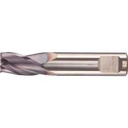 Fortis 4317784742504 fresa