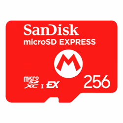 Nintendo 10016157 memoria flash 256 GB MicroSDXC