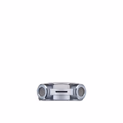 Olympus LS-P1 Memoria interna e scheda di memoria Argento - Vista aggiuntiva 4