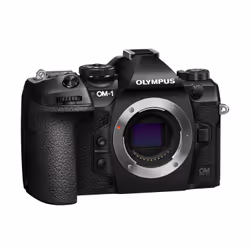 Olympus OM-D OM-1 + M.Zuiko 12-40mm f/2.8 PRO II 4/3" MILC 20,4 MP MOS 10368 x 7776 Pixel Nero - Vista aggiuntiva 7