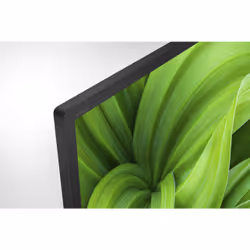 Sony BRAVIA KD-32W800 - 32 pollici – HD Ready - High Dynamic Range (HDR) - Vista aggiuntiva 4