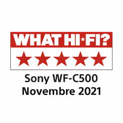 Sony WF-C500 - Auricolari True Wireless, Fino a 20 ore di durata della batteria con custodia di ricarica, Compatibile con l'Assistente Vocale, Microfono integrato (Nero) - Vista aggiuntiva 4
