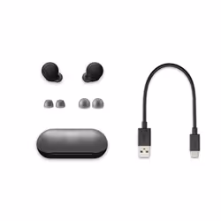 Sony WF-C500 - Auricolari True Wireless, Fino a 20 ore di durata della batteria con custodia di ricarica, Compatibile con l'Assistente Vocale, Microfono integrato (Nero) - Vista aggiuntiva 8