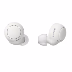 Sony Auricolari WF-C500 True Wireless - Fino a 20 ore di durata della batteria con custodia di ricarica - Compatibile con l'A ...