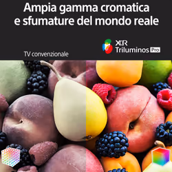 Sony XR-75X95K – 75”- BRAVIA XR™ - Mini LED – 4K Ultra HD – High Dynamic Range (HDR) – Smart TV (Google TV) – Black (Modello 2022) - Vista aggiuntiva 5