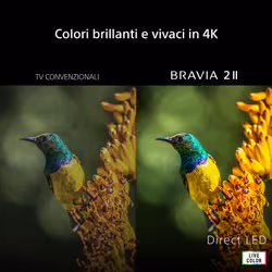 Sony 75 BRAVIA 2 II S25M2 - Vista aggiuntiva 2
