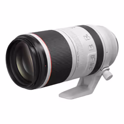 Canon Obiettivo RF 100-500mm F4.5-7.1L IS USM - Vista aggiuntiva 4