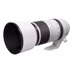 Canon Obiettivo RF 100-500mm F4.5-7.1L IS USM - Vista aggiuntiva 5
