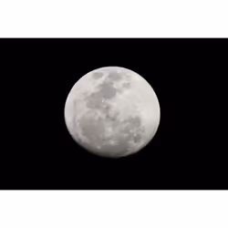 Canon RF 200-800mm F6.3-9 IS USM MILC Teleobiettivo zoom Nero, Bianco - Vista aggiuntiva 7
