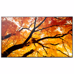Sharp MultiSync M552 Pannello piatto per segnaletica digitale 139,7 cm (55") LCD 550 cd/m² 4K Ultra HD Nero Touch screen - Vista aggiuntiva 2