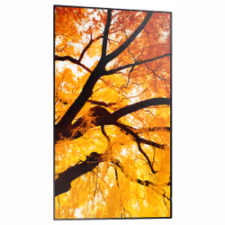 Sharp MultiSync M552 Pannello piatto per segnaletica digitale 139,7 cm (55") LCD 550 cd/m² 4K Ultra HD Nero Touch screen - Vista aggiuntiva 4