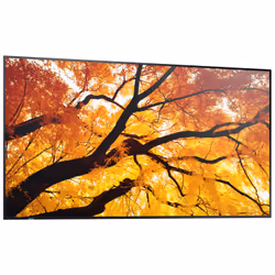 Sharp MultiSync M552 Pannello piatto per segnaletica digitale 139,7 cm (55") LCD 550 cd/m² 4K Ultra HD Nero Touch screen - Vista aggiuntiva 5