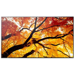 Sharp MultiSync M752 Pannello piatto interattivo 189,2 cm (74.5") LED 550 cd/m² 4K Ultra HD Nero 24/7