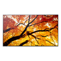 Sharp MultiSync M862 Pannello piatto per segnaletica digitale 2,18 m (86") LCD 550 cd/m² 4K Ultra HD Nero 24/7