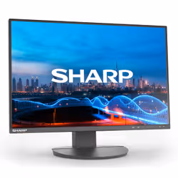 Sharp MultiSync EA241W Monitor PC 61 cm (24") 1920 x 1200 Pixel Full HD LCD Nero - Vista aggiuntiva 2