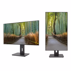 JAPANNEXT JN-27IPS4FLWQHDR-HSP Monitor 27 pollici QHD IPS Nero - Vista aggiuntiva 3