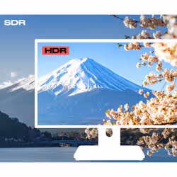 JAPANNEXT JN-IPS2152FHDR-C65W-FLD-T Monitor PC 54,6 cm (21.5") 1920 x 1080 Pixel Full HD LED Touch screen Grigio - Vista aggiuntiva 7