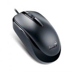 Genius Computer Technology DX-120 mouse Ufficio Ambidestro USB tipo A Ottico 1000 DPI
