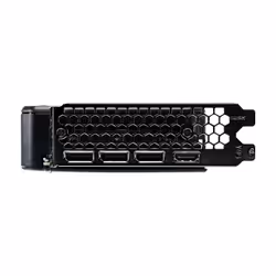 Palit GeForce RTX 5060 Dual OC NVIDIA 8 GB GDDR7 - Vista aggiuntiva 5