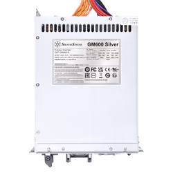 Silverstone GM600 Silver alimentatore per computer 1200 W 20+4 pin ATX PS/2 Argento - Vista aggiuntiva 6